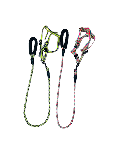 Dog Harness with Leash