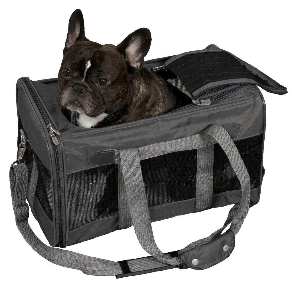 Travel Bag Pet Carrier