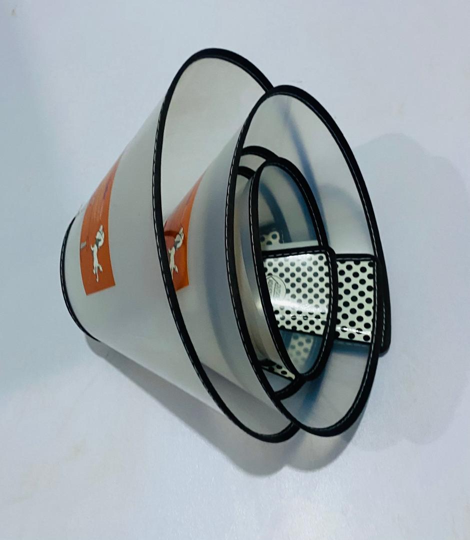 Dog Cone Collar Pets