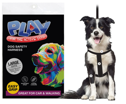 Pet Safety Harness
