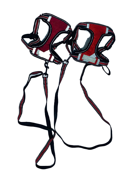 Dog Harness with Leash