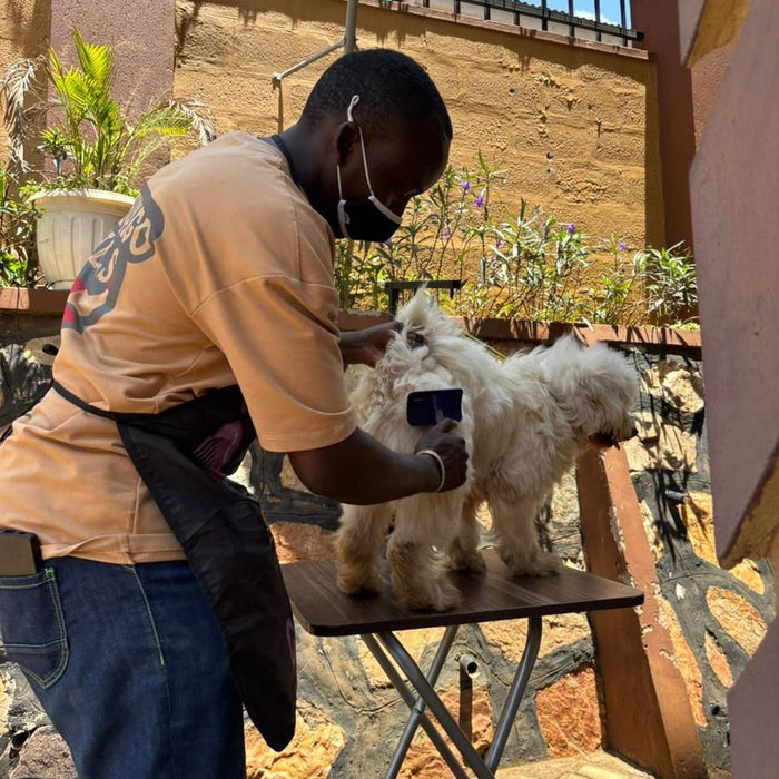 Owen Pet Grooming Salon
