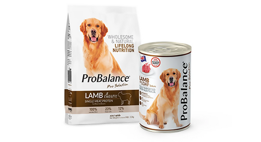 PROBALANCE LAMB - 8KG