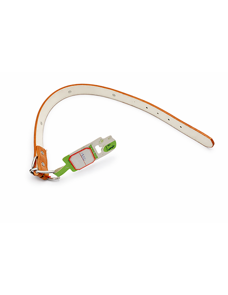 Adjustable Dog & Cat Buckle Collar