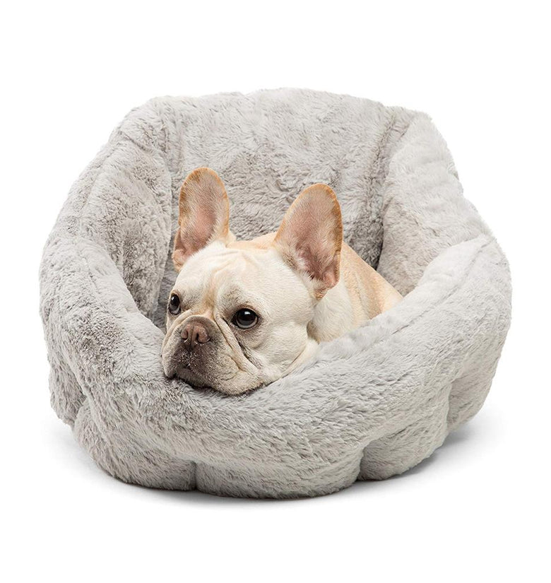 PetMart