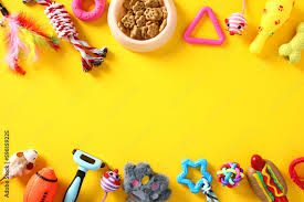 Everything your pet needs for fun, comfort, and care.