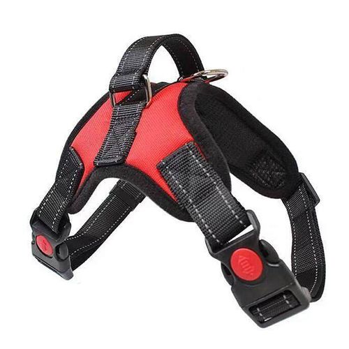 Dog Harness with Leash