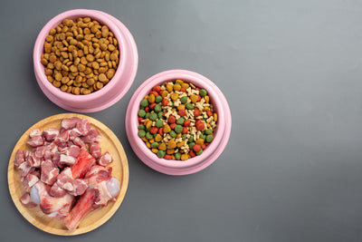 All Dog Food