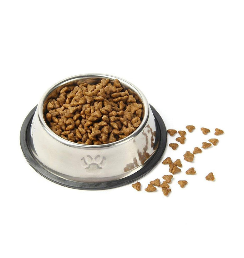 Qpey Stainless Steel Pet Food Bowl