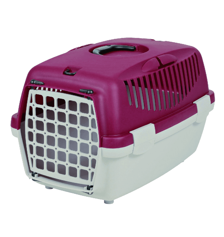 PetMart